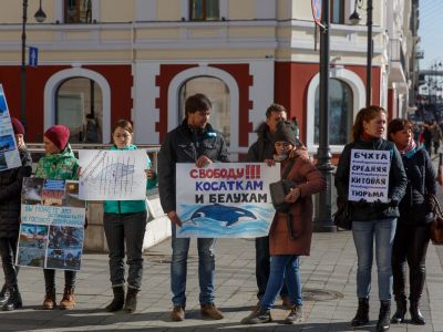 Пикет зоозащитников во Владивостоке 2019. Фото: Александр Ратников / PrimaMedia